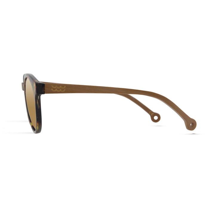Parafina Costa Sunglasses Gentle Tortoise/Vegas Gold