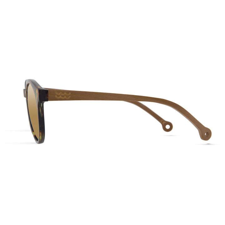 Parafina Costa Sunglasses Gentle Tortoise/Vegas Gold