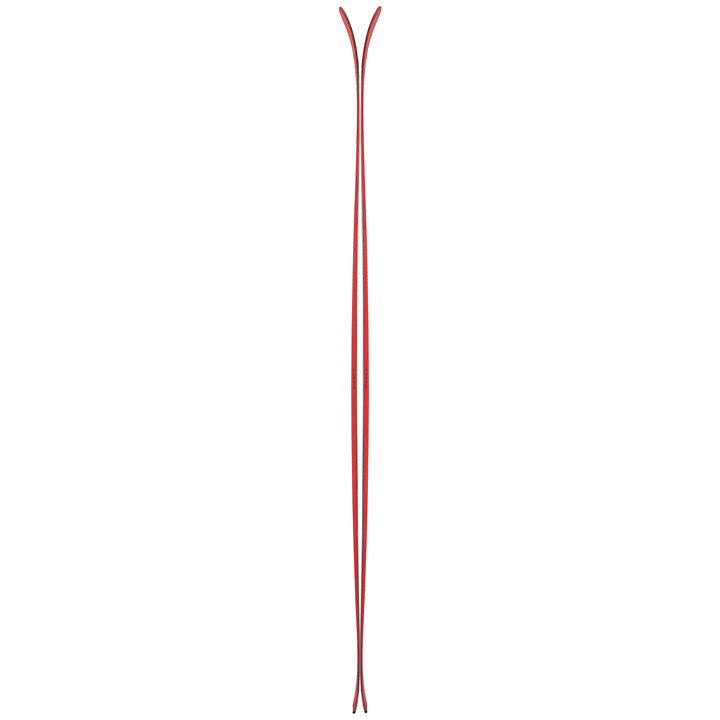 Black Crows Camox Freebird Skis 2022
