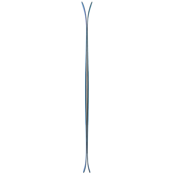 DPS Wailer A106 C2 Skis 2021