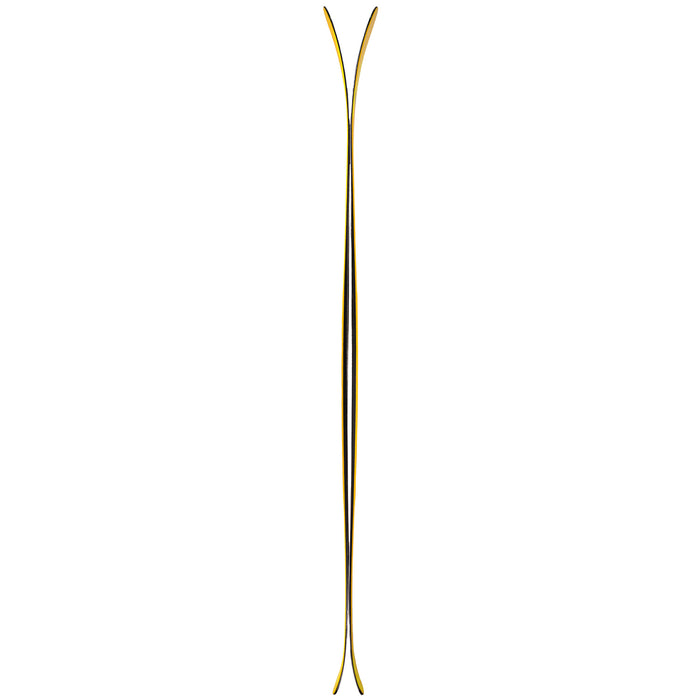 DPS Wailer A100 RP Skis 2021