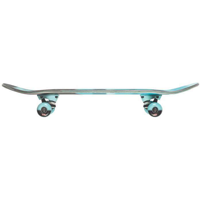 Globe Argo Mini Skateboard Complete