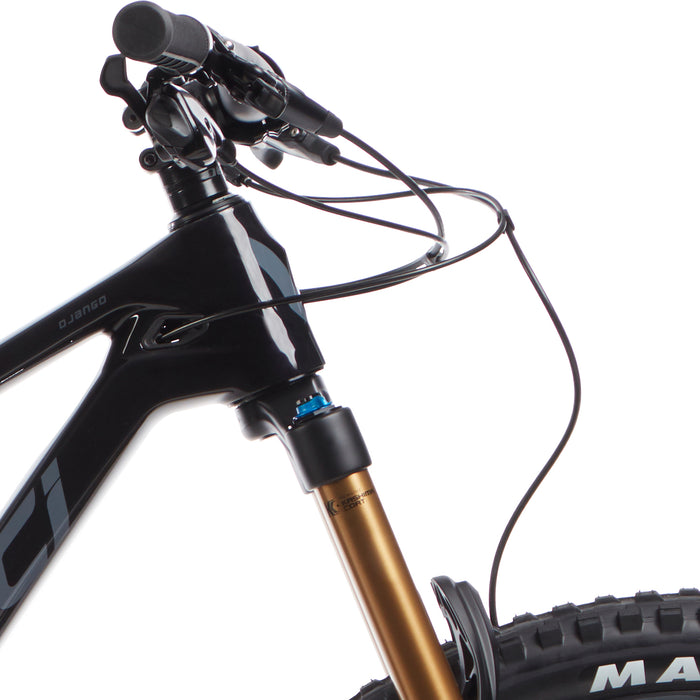 Devinci Django Carbon 29 GX LTD Complete Mountain Bike 2020 Gloss / Black Mystery