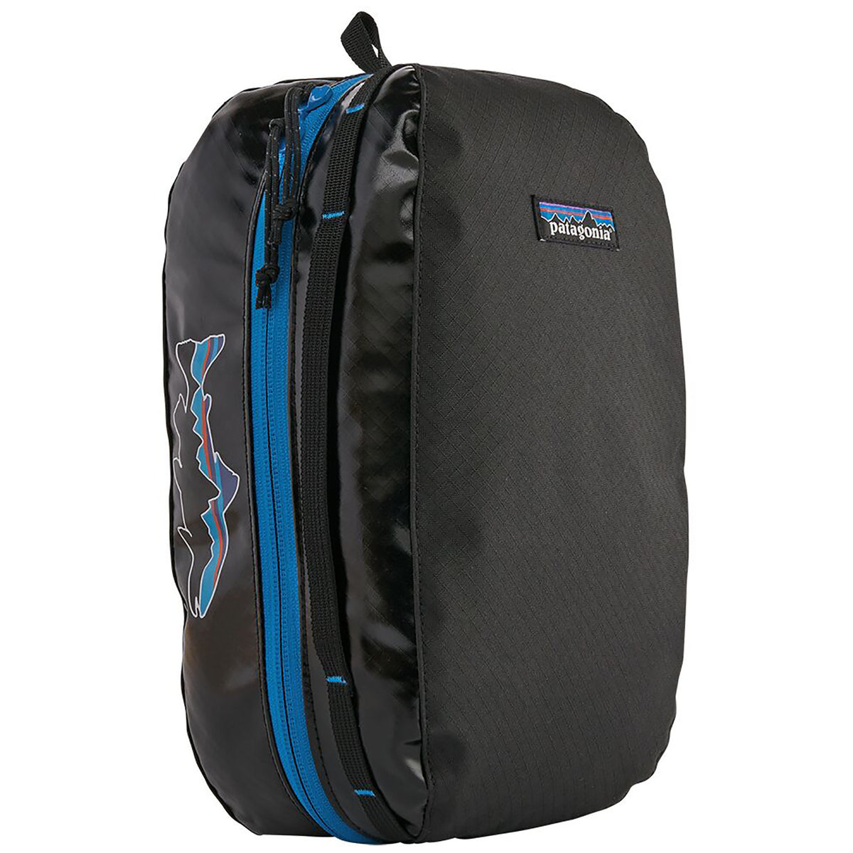 Patagonia Black Hole® Medium Cube Black/Fitz Trout