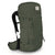 Osprey Archeon 45 Backpack Haybale Green