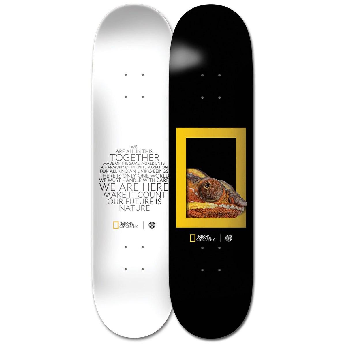 Element Nat Geo Dragon 8.2 Skateboard Deck