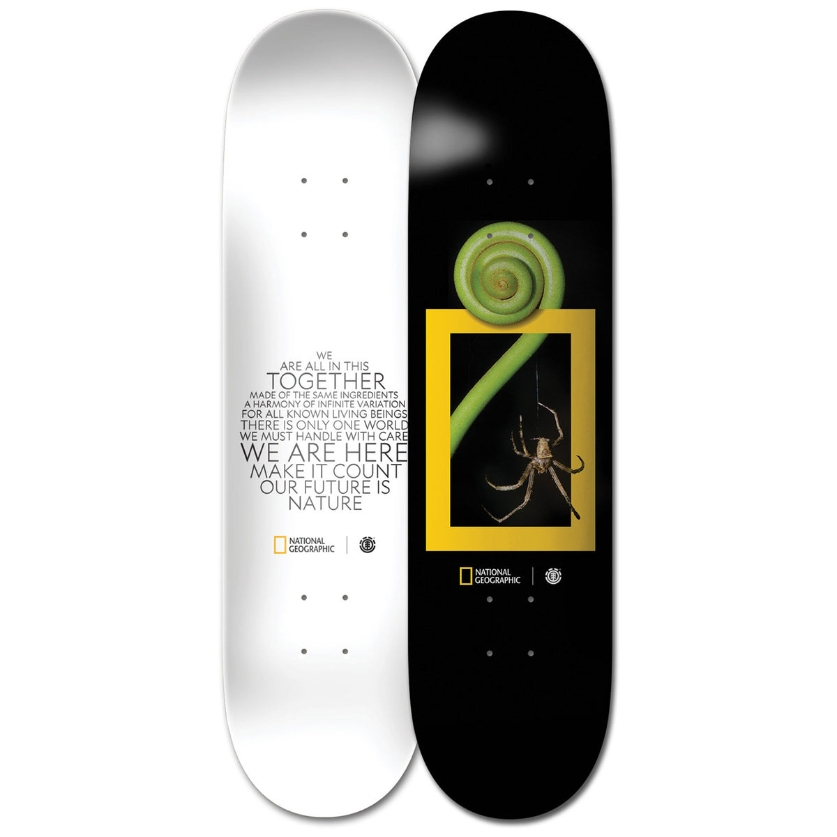 Element Nat Geo Spider 8.0 Skateboard Deck