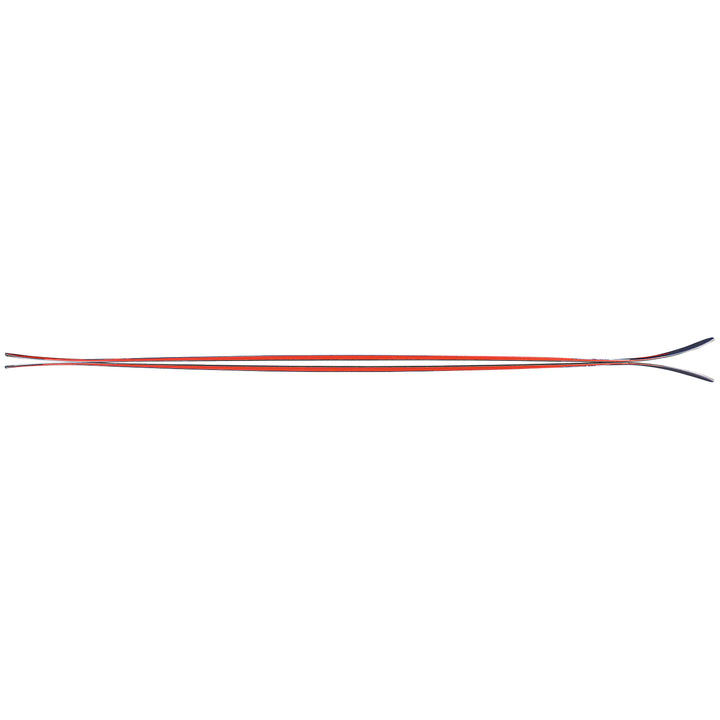 Nordica Enforcer 94 Skis 2021