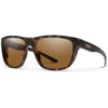 Matte Tortoise/ChromaPop Polarized Brown
