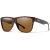 Matte Tortoise/ChromaPop Polarized Brown