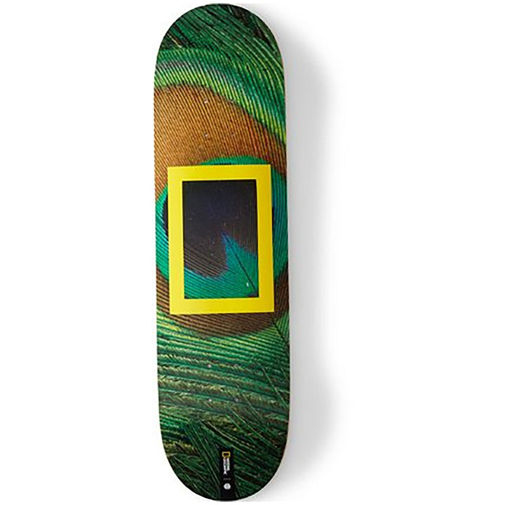 Element Nat Geo Peacock 8.0 Skateboard Deck