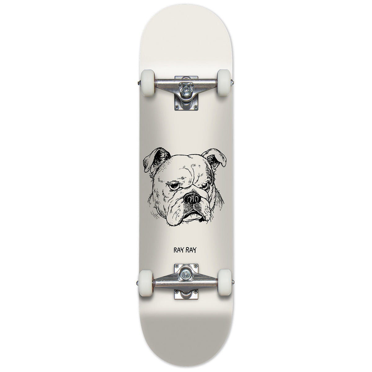 Chocolate Tershy Big Dawg 8.0 Skateboard Complete