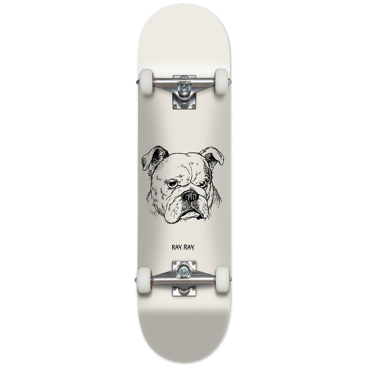 Chocolate Tershy Big Dawg 8.0 Skateboard Complete