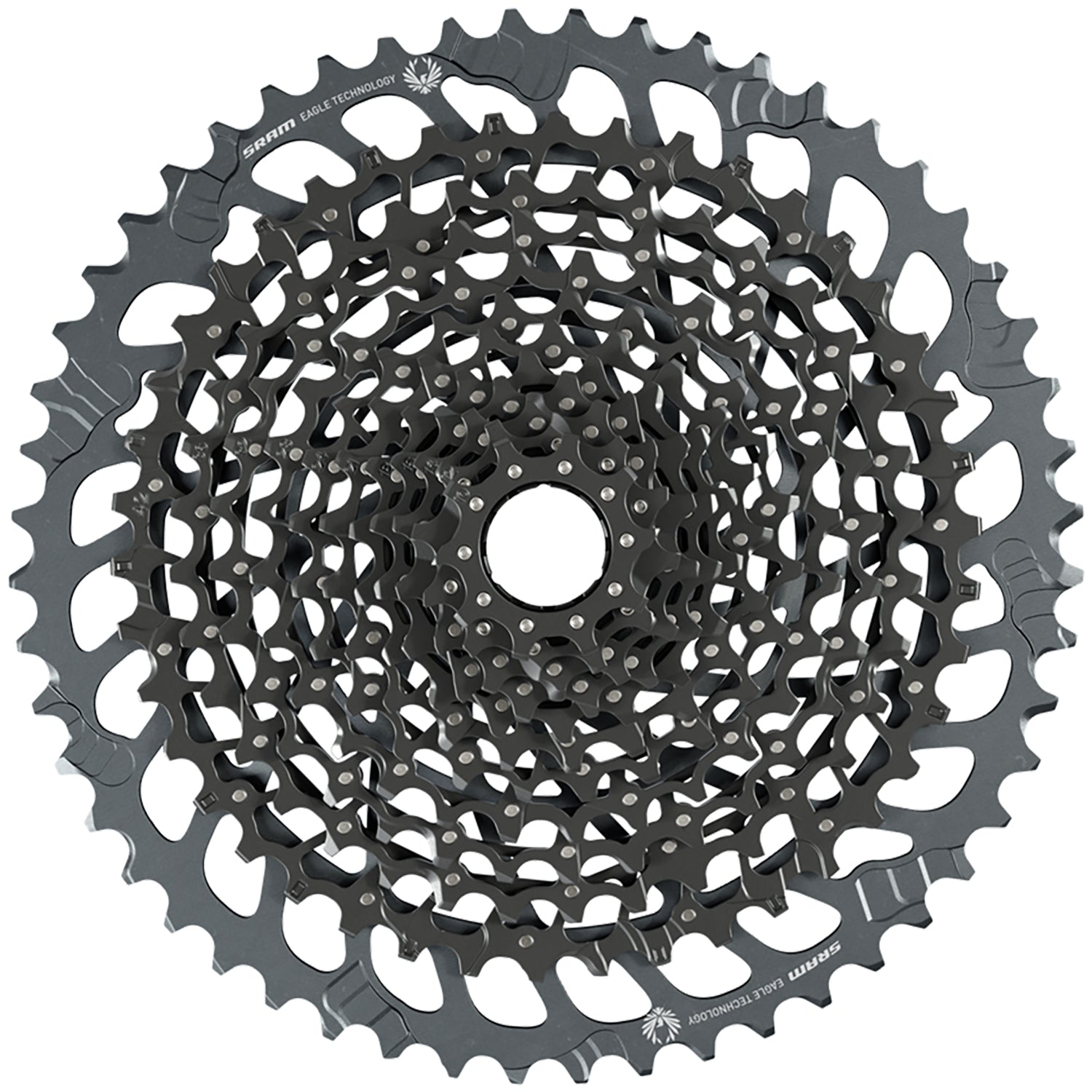 SRAM XG1275 12速 スプロケット SRAM GX Eagle XG-1275 12-Speed Cassette – evo