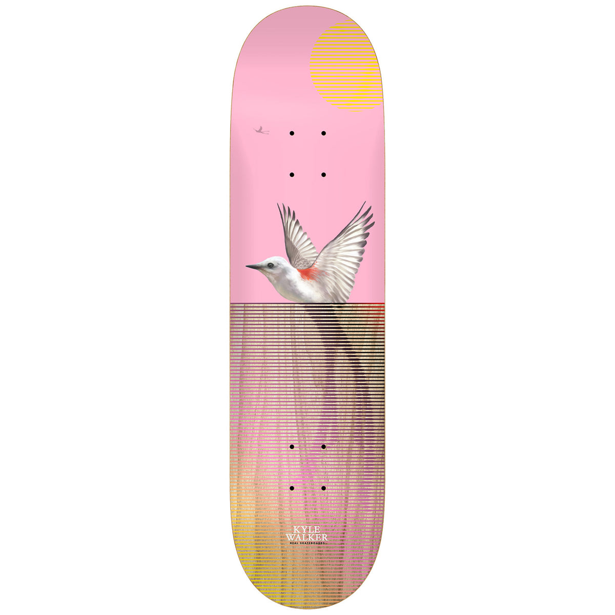 Real Kyle Segment Full SE 8.06 Skateboard Deck