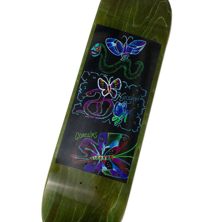Krooked Gonzales Monarch 8.62 Skateboard Deck
