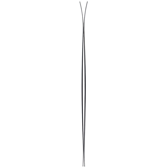 Black Diamond Helio Recon 105 Burkard Skis 2022