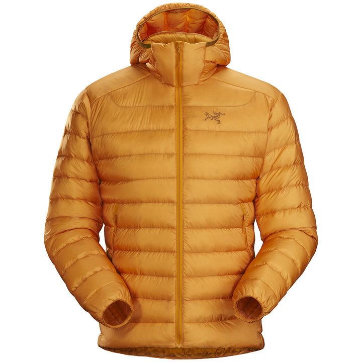 Arc'teryx Cerium LT Hoodie Quantum