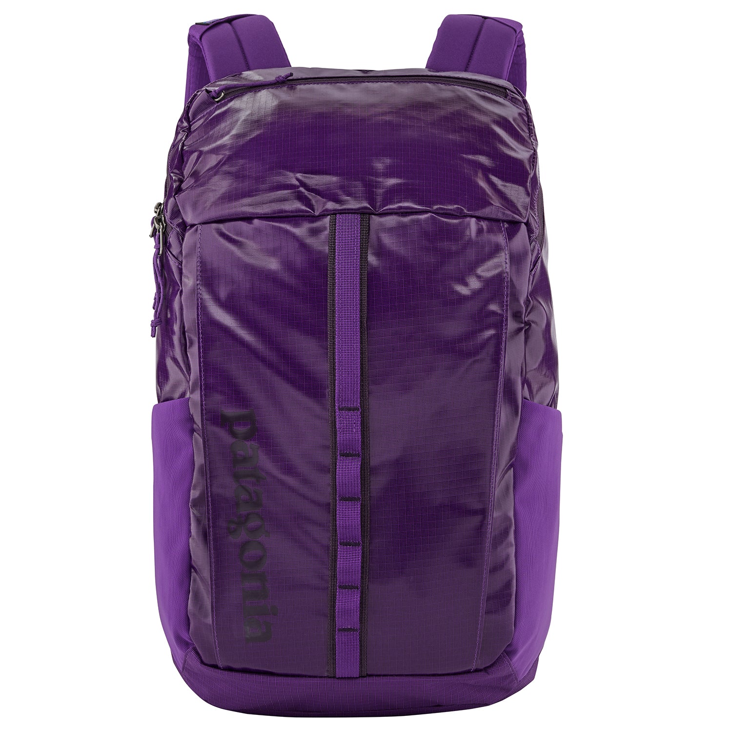 Patagonia Black Hole® 23L Backpack - Women's – evo