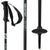 Salomon Shiva Ski Poles - Women's 2022 Black