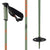 Salomon Hacker S3 Ski Poles Green