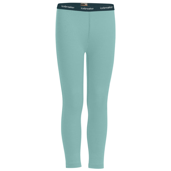 Icebreaker 200 Oasis Leggings - Kids' Hydro