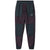 Mountain Hardwear Polartec® High Loft™ Pants - Women's Blurple