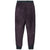 Mountain Hardwear Polartec® High Loft™ Pants - Women's Blurple