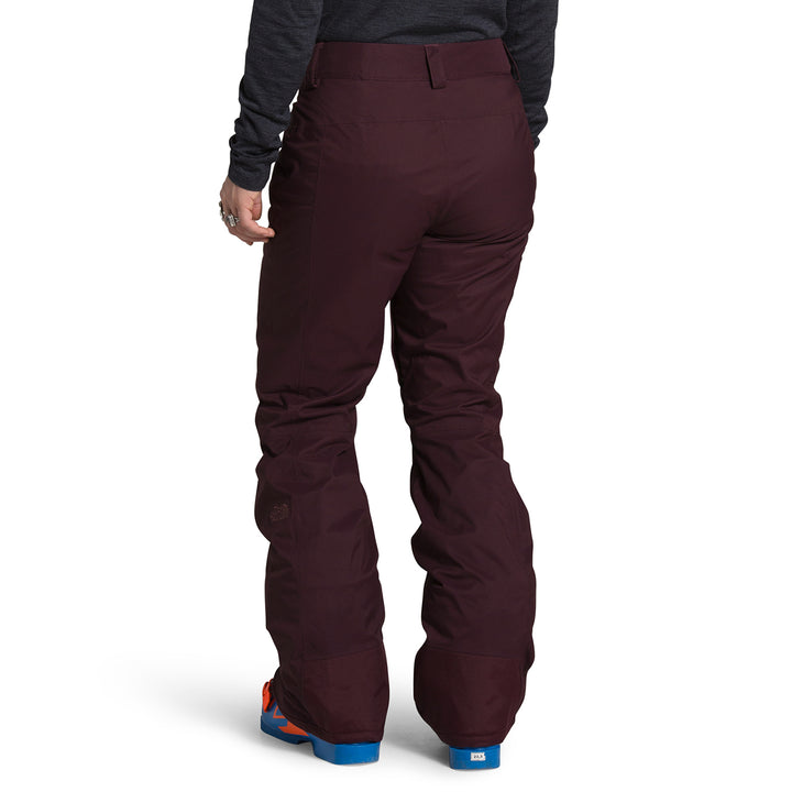 The North Face Freedom Short Pants - Women's Root Brown
