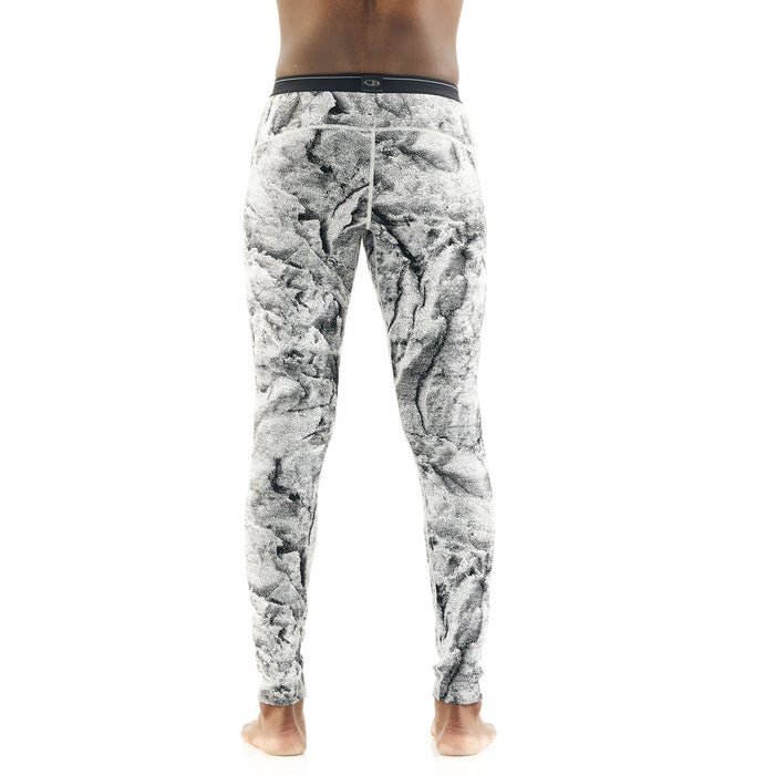 Icebreaker 250 Vertex Leggings - Men's Snow