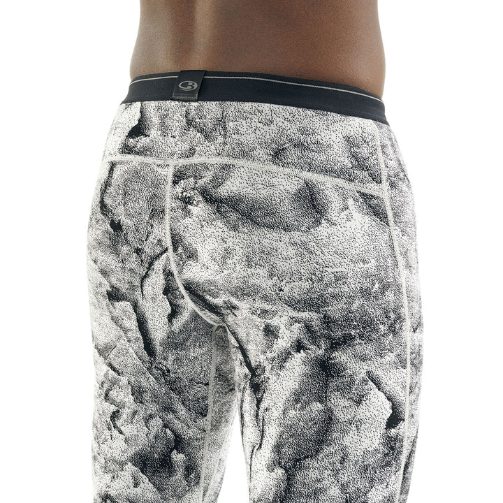 Icebreaker 250 Vertex Leggings - Men's Snow