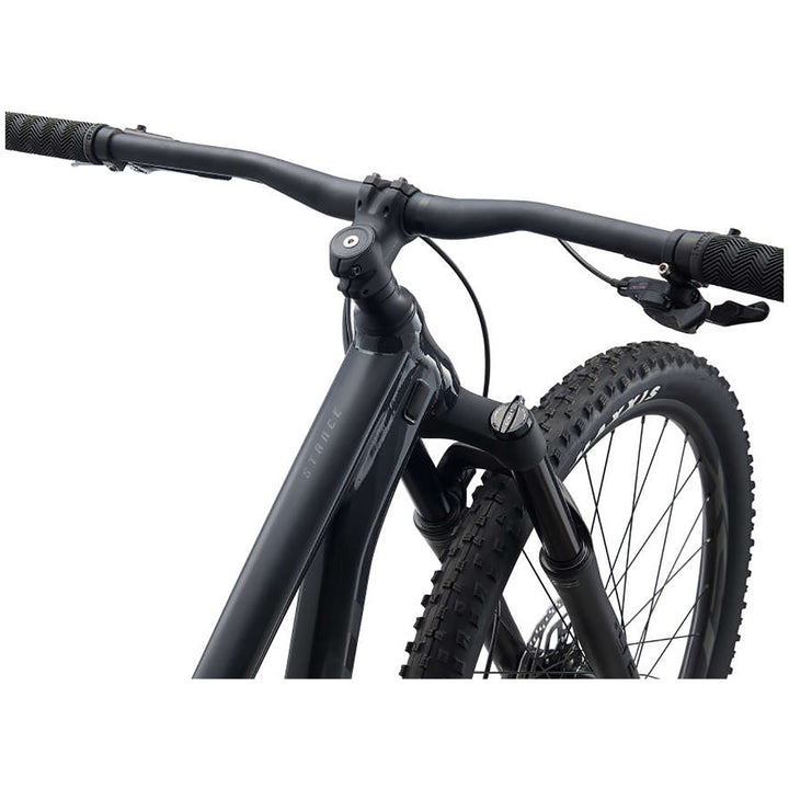 Giant Stance 29 2 (Crest Fork) Complete Mountain Bike 2021 Gunmetal