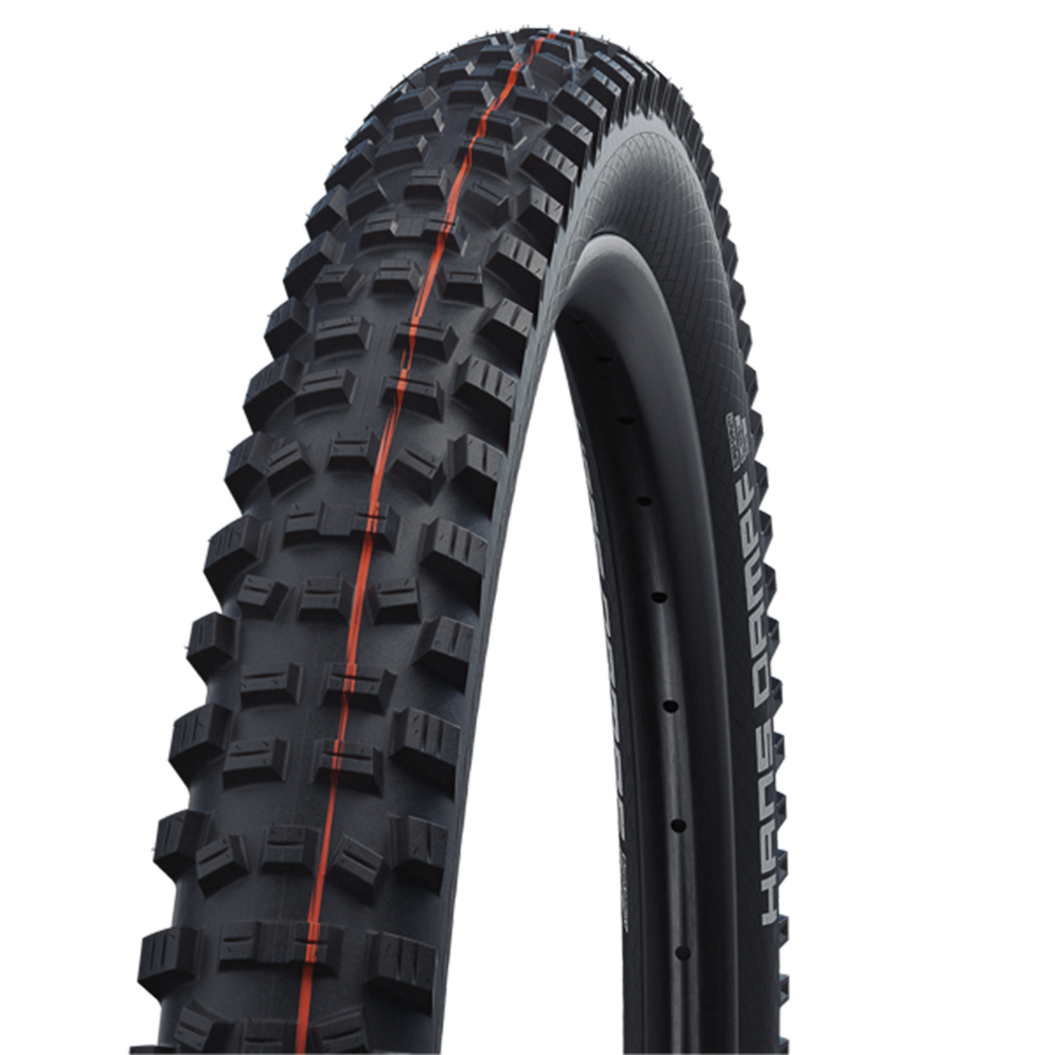 Schwalbe Hans Dampf Tire