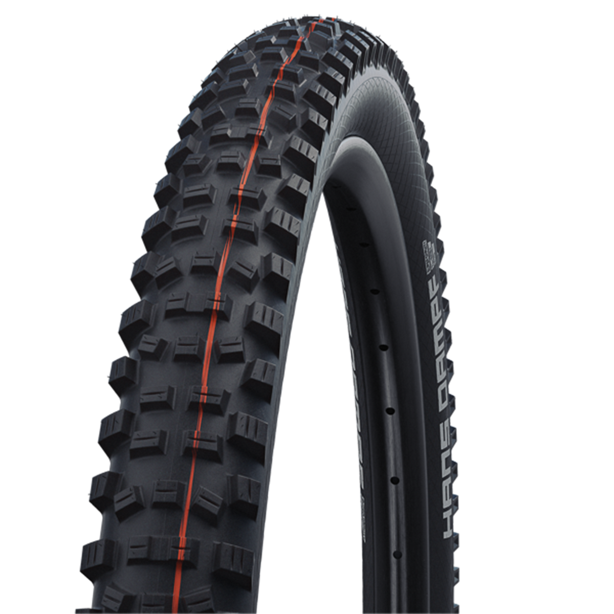 Schwalbe Hans Dampf Tire - 29"