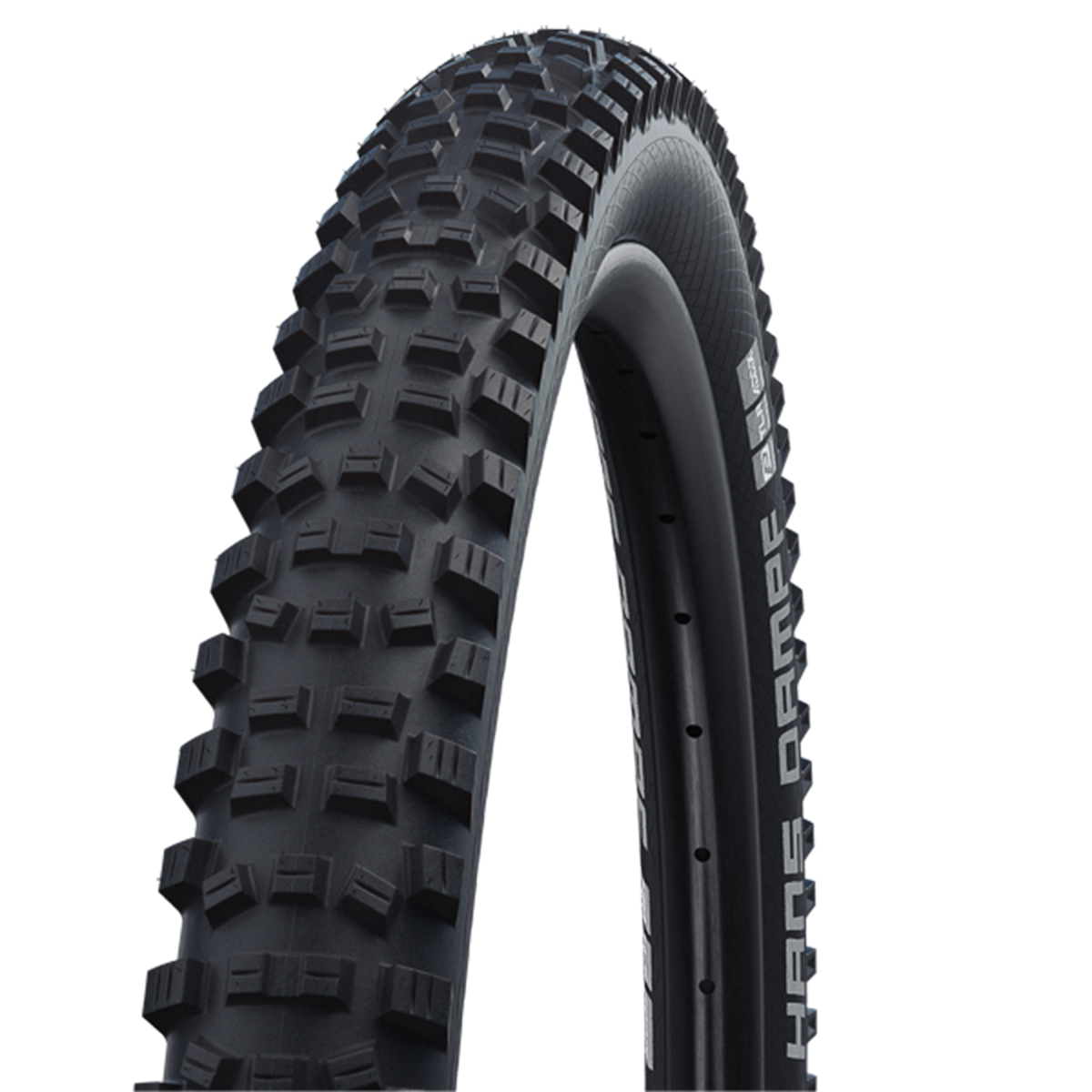 Schwalbe Hans Dampf Tire - 29"