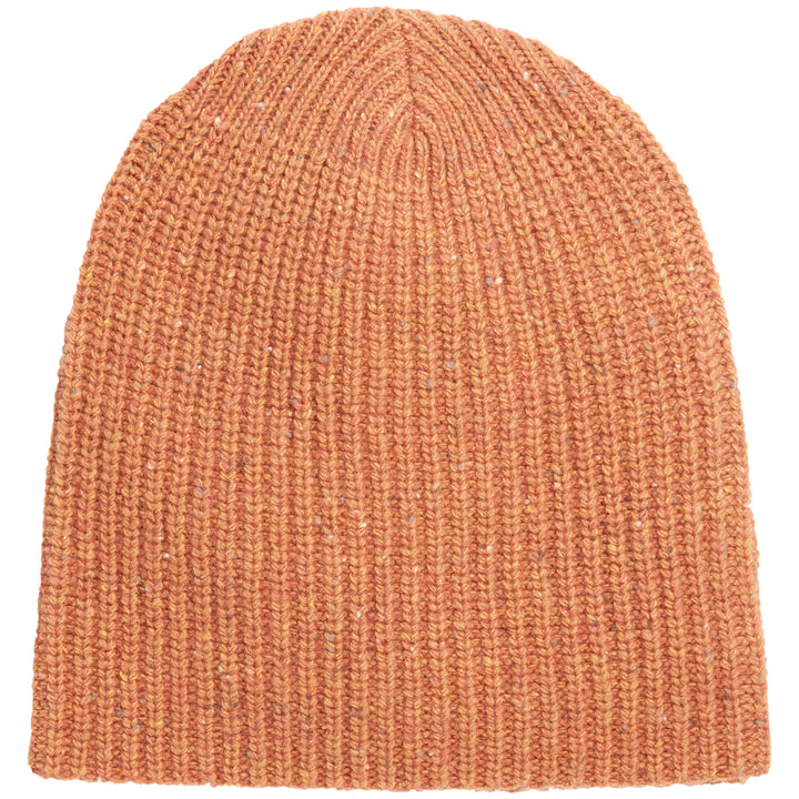 Mollusk Pinto Beanie Maine