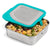 Klean Kanteen Food Box - 20oz Agave Mint