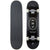 Arbor Whiskey 8.25 Recruit Skateboard Complete