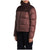 The North Face Eco Nuptse Jacket - Women's Marron Purple/Root Brown