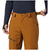 Mountain Hardwear Cloud Bank™ GORE-TEX Tall Pants - Men's Golden Brown