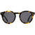 OTIS High Noon Sunglasses Matte Dark Tort/Grey