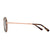 OTIS Winston Sunglasses Matte Dark Tort/Brown Polar