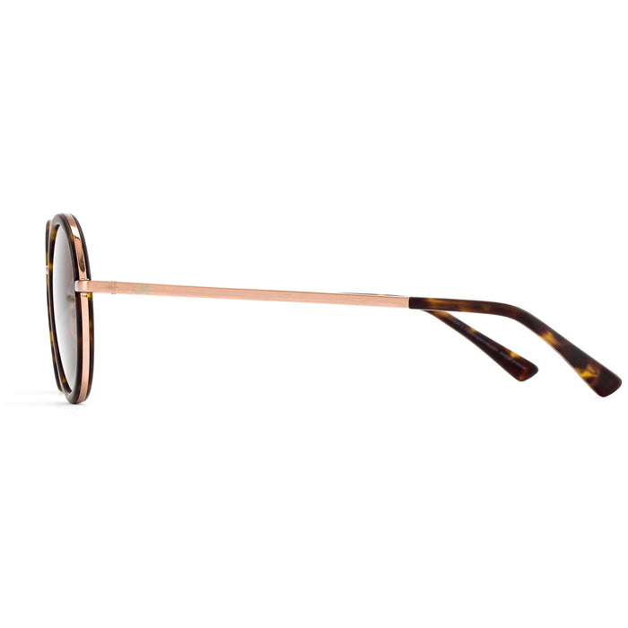 OTIS Winston Sunglasses Matte Dark Tort/Brown Polar