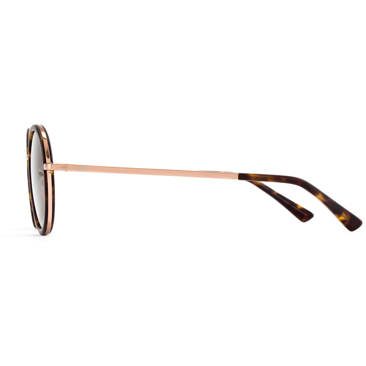 OTIS Winston Sunglasses Matte Dark Tort/Brown Polar