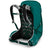 Osprey Tempest 24 Backpack - Women's Jasper Green