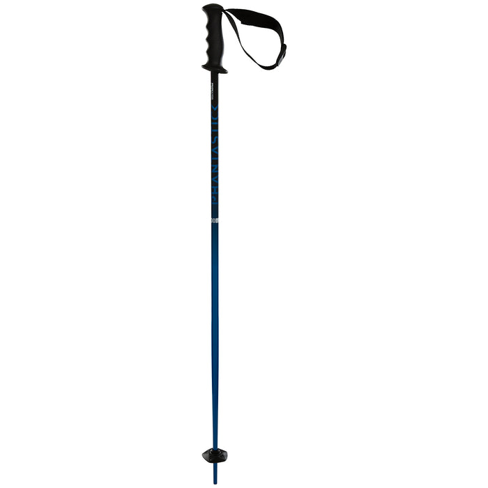 Völkl Phantastick Jr Ski Poles - Kids' 2021 Blue Fade
