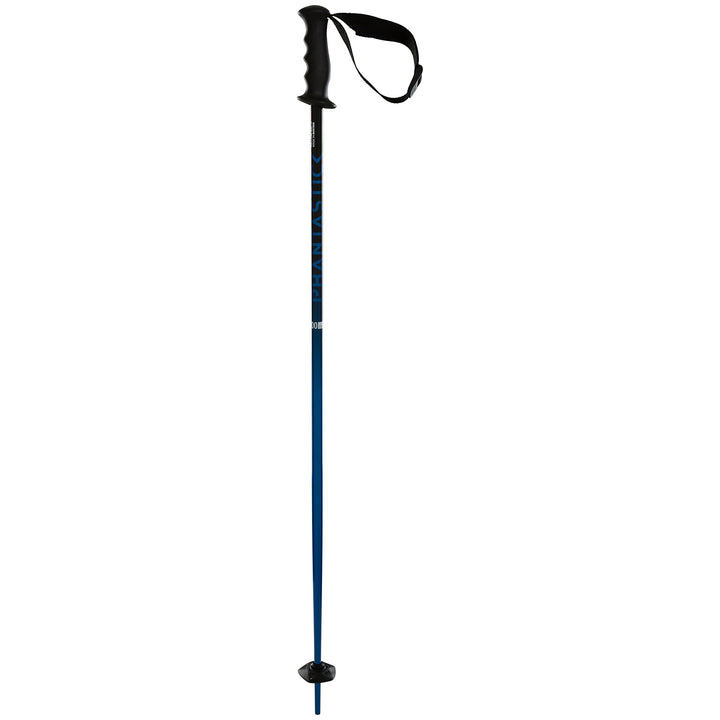 Völkl Phantastick Jr Ski Poles - Kids' 2021 Blue Fade