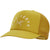 Arc'teryx Trucker Curved Hat Pipe Dream