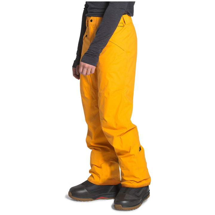 The North Face Freedom Short Pants Summit Gold