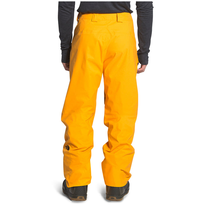 The North Face Freedom Short Pants Summit Gold